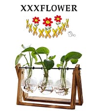 XXXFLOWER Plant Terrarium with Wooden Stand, Air Planter Bulb Glass Vase Metal Swivel Holder Retro Tabletop for Hydroponics Home Garden Office Decoration - 3 Bulb Vase