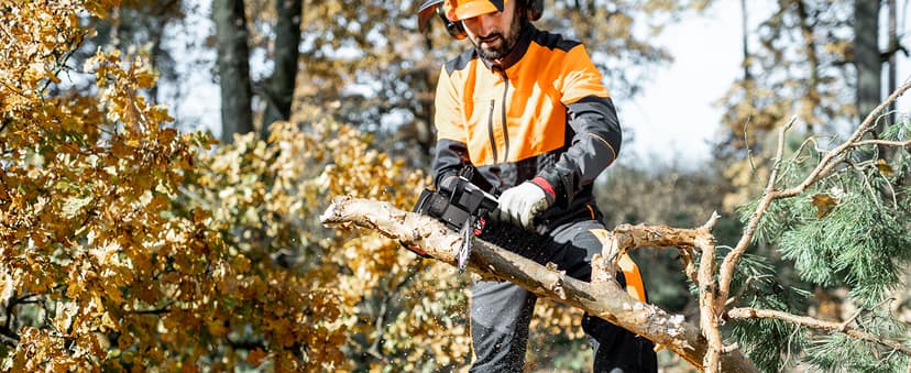 Seesii Mini Chainsaw 8 inch DL07, Electric Chainsaw Cordless, Upgraded Brushless Chain saw with Auto Oiler, 2pcs 2000mAh Batteries, Battery Powered Saws Handheld Chain Saw for Tree Branch Wood Cutting