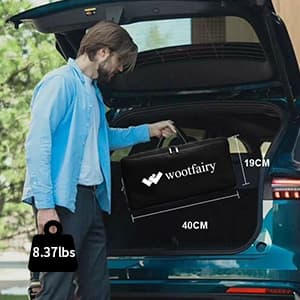 Projector Screen with Stand, Wootfairy 120 inch Portable and Foldable Indoor Outdoor Projection Screen 16:9 4K HD Rear Front Wrinkle-Free Movie Screen with Carry Bag for Home Theater Backyard Cinema