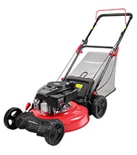 PowerSmart 21 in. Gas Lawn Mower with 125cc Briggs and Stratton E300 Engine, 2-in-1 Push Mower with Mulching & Side-Discharge