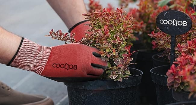 COOLJOB Gardening Gloves for Men, 2 Pairs Breathable Rubber Coated for Garden Weeding Landscaping, Outside Work for Lawn Yard, Men's Medium Size, Black & Red