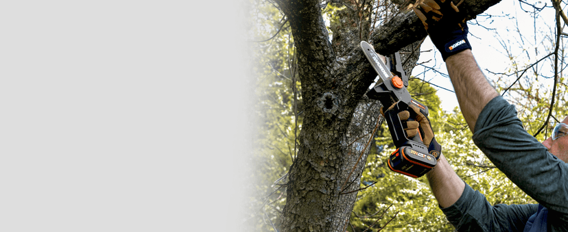 Worx Nitro 20V 5" Cordless Brushless Chainsaw 2.0 Ah Battery and Charger Included WG325