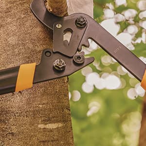 Fiskars 32-Inch Loppers for Tree Trimming, Heavy Duty, Low-Friction Sharp Steel Blade, Branch Cutter up to 2-Inch Diameter Cut Capacity, PowerGear2 Technology that Multiplies Power for Less Effort
