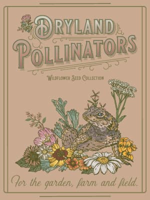 Wildflower Seeds Bulk, 2 Oz. 80,000+ Seeds, Drought-Tolerant Wildflower Mix, 20 Varieties of Drought-Tolerant Wildflower Seeds, Drought-Resistant Wildflower Seeds, Dryland Pollinators Flowers Seeds