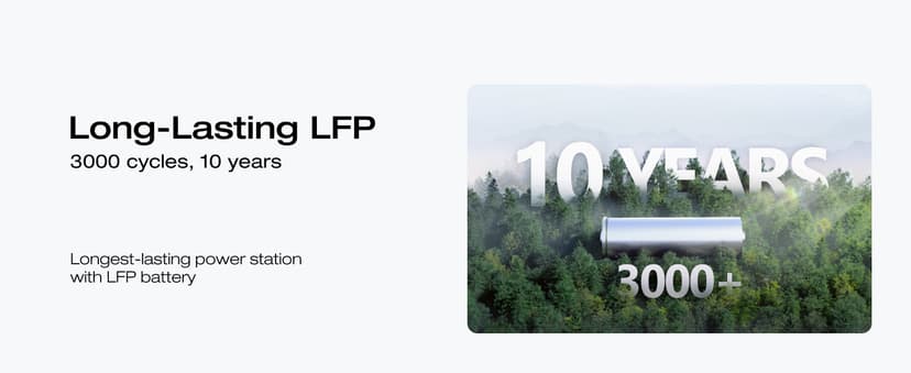 EF ECOFLOW Solar Generators, DELTA 2 Portable Power Station with 2PCS 100W 12V Solar Panels, 1024Wh LFP Battery, Fast Charging, Power Station for Home Backup, Camping&RVs