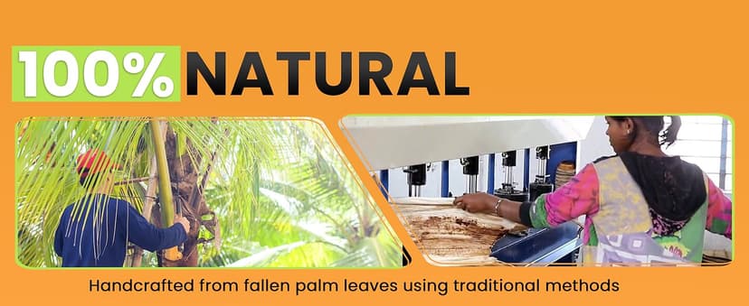 Raj Eco Compostable Palm Leaf Plates Like Bamboo Plates Disposable - 8 Inch Square 50 party plates, Natural wooden, Eco-Friendly, fancy Biodegradable & Disposable Dessert appetizer Plates