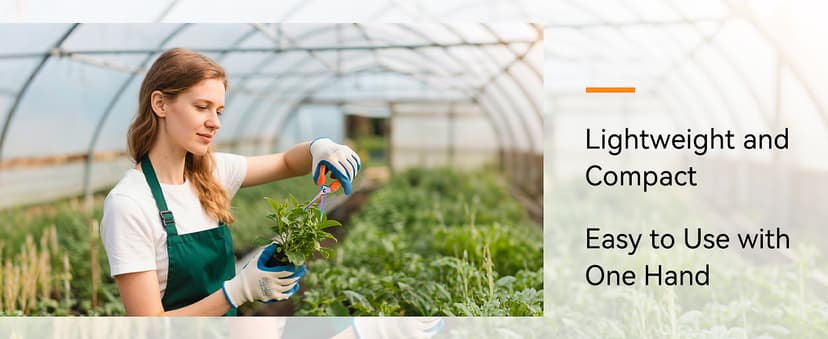 QMVESS Stainless Steel Garden Shears, Precision Cutting Pruning Shears, Lightweight Ergonomic Garden Clippers with Titanium Coating Straight Blade 3 Pcs Gardening Shears, Pruning Shears for Gardening