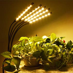 KEELIXIN Grow Lights for Indoor Plants,5 Heads Red Blue White Full Spectrum Plant Light with 15-60" Adjustable Tripod Stand, Indoor Grow Lamp with Remote Control and Auto On/Off Timer Function