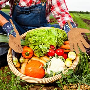 Womens Gardening Weeding Working Gloves, Leather Garden Glove for Women Thorn Proof No Stab for Digging, Planting,Pruning