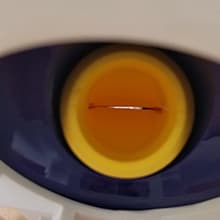 VINGLI Pool Vacuum Cleaner Automatic Sweeper Swimming Pool Creepy Crawler Vacuum