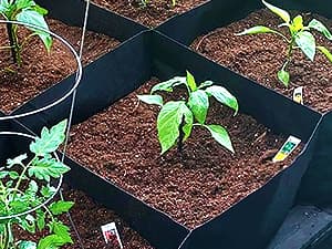 CJGQ Fabric Raised Garden Bed 6x3x1ft Garden Grow Bed Bags for Growing Herbs, Flowers and Vegetables 128 Gallon