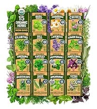 HOME GROWN Bloomsdale Spinach Seeds Pack – 353 Heirloom 𝗡𝗢𝗡-𝗚𝗠𝗢 𝗨𝗦𝗔-𝗦𝗢𝗨𝗥𝗖𝗘𝗗 Seeds – High Germination Spinach for Indoor, Outdoor, Hydroponic Planting & Home Gardens (Spinacia oleracea)