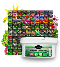 Drought-Tolerant Vegetable Seed Collection - 10 Packets of Seeds to Grow Drought-Resistant Plants for Growing in Home Vegetable Gardens - Non-GMO Heirloom Open-Pollinated - Survival Garden Seeds