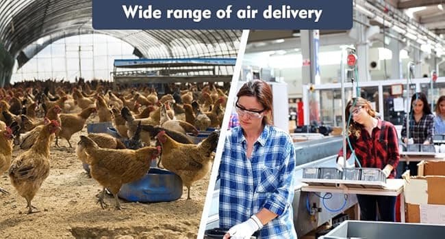 5600 CFM 20" High Velocity Outdoor Misting Fan, Standing Fans for Patio Waterproof, Cooling Floor Fan 3-Speed, 360°Oscillation, Adjustable Height, 2 Casters, Heavy Duty Metal Industrial Fan