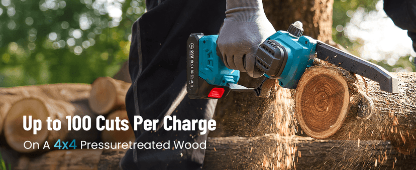 Seesii PS620 2-in-1 Electric Pole Saws: 6 Inch Mini Chainsaw Cordless with Extension Pole, 2Pcs Batteries, Brushless Chain Saw for Limb Branch Cutter, Battery Tree Trimmers Pruner,16Ft Long Reach