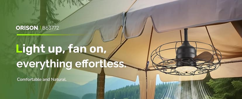 Orison Outdoor Ceiling Fans with Light, 21'' Wet Rated Outdoor Hanging Fan for Gazebo, Plug in Caged Lighting for Pergola Canopy, Hanging with Hook, 3 Color LED Light, Waterproof