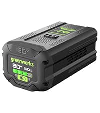 Greenworks 80V 8" Brushless Cordless Edger, Battery and Charger Not Included