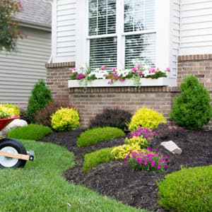 Heavy Duty Stainless Steel Garden Trowel and Shovel, Easy Digging and Weeding, Durable Garden Tools for Gardening and Planting