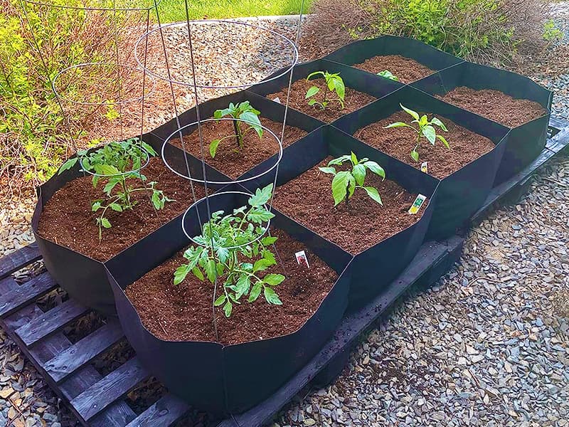 CJGQ Fabric Raised Garden Bed 6x3x1ft Garden Grow Bed Bags for Growing Herbs, Flowers and Vegetables 128 Gallon