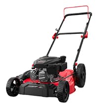 PowerSmart 21 in. Gas Lawn Mower with 125cc Briggs and Stratton E300 Engine, 2-in-1 Push Mower with Mulching & Side-Discharge