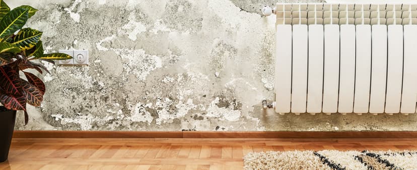 Ozone Machine Generator 30000mg/h - 6000+ Sq. Ft. Ozone Machine Odor Removal for Home and Car with 120min timer All Metallic Black