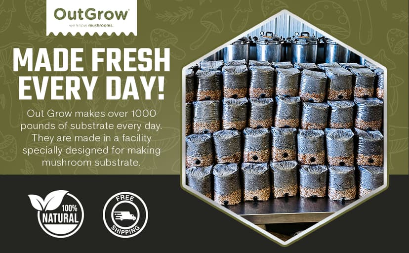 Mini All in One Mushroom Grow Bag