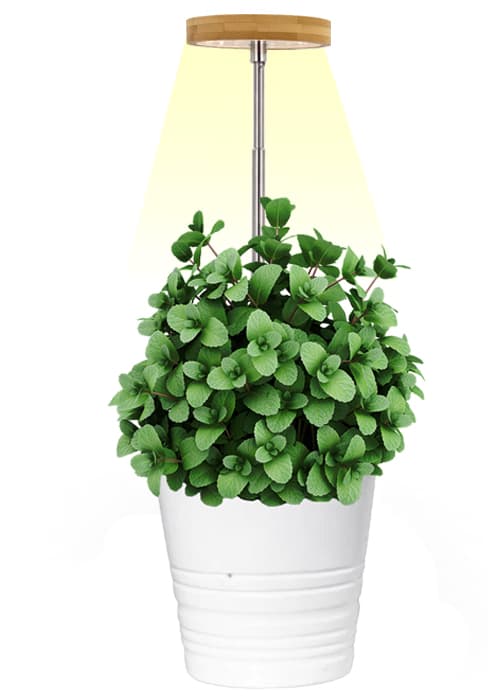 Plant Grow Light,yadoker LED Growing Light Full Spectrum for Indoor Plants,Height Adjustable, Automatic Timer, 5V Low Safe Voltage,Idea for Large Plant Light
