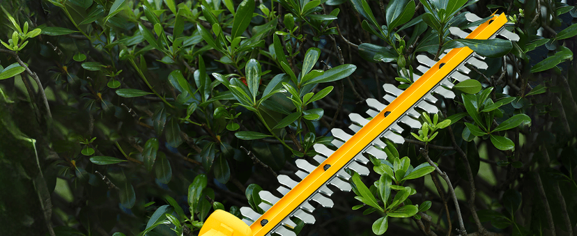 Alloyman 20V MAX Pole Hedge Trimmer,Telescoping Pole Hedge Trimmer,with 2 Packs 2.0Ah Batteries & Charger,8 Feet Hedge Trimmer for Shrubs Pruning