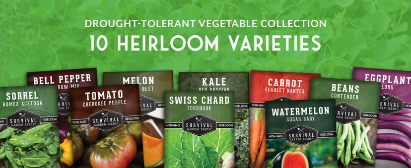 Drought-Tolerant Vegetable Seed Collection - 10 Packets of Seeds to Grow Drought-Resistant Plants for Growing in Home Vegetable Gardens - Non-GMO Heirloom Open-Pollinated - Survival Garden Seeds