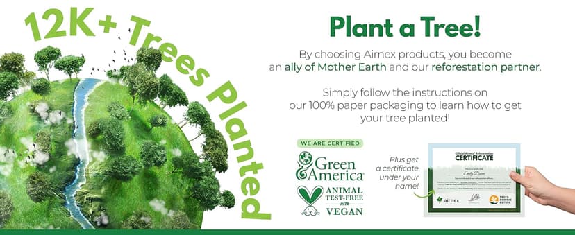 Bamboo Dish Brush Set of 3, 100% Plant-Based Kitchen Dish Brush Bamboo with Sisal and Coconut Bristles, 2 Brush Types, No Scratch Wood Sish Scrub Brush for Dishes, Quick-Drying, Odor Free