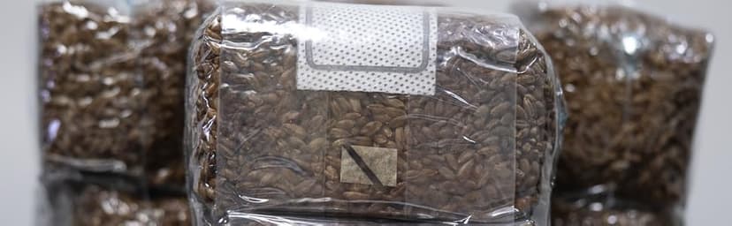Mushroom Growing Kit with Injection Ports | Sterilized Rye Grain | Magic Indoor Grow Bags for Mushrooms | Home Cultivation Supplies | Without Spores | 1 Pound (6 Pack)
