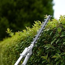 25.4cc Gas-Powered 2-Cycle Attachment Capable Powerhead, Lightweight Grass Trimmer for Garden Edging & Lawn Care (Edger Combo)