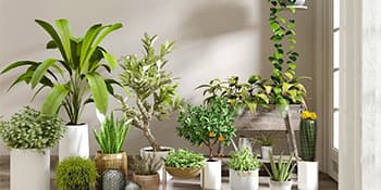 4 Pcs Plant Watering Globes,Rainbow Gradient Glass Watering Devices,Self Watering Planter Insert Plant Accessories for Indoor,Outdoor,Flowerpot,Hanging Plants,Home Garden,8.7" L×2.8" D