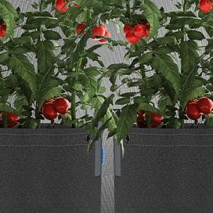 AC Infinity Heavy Duty Fabric Pots, 5 Gallon Aeration Reusable Grow Bags 5-Pack with 500G Thick Nonwoven Fabric and Multi-Purpose Rings, for Low Stress Plant Training Fruits, Vegetables, and Flowers