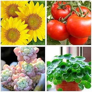 bseah Grow Light Plant Light Indoor Plants, Full Spectrum Clip Plant Growing Lamp, 10-Level Dimmable, Auto On Off Timing 3 9 12Hrs (2 Pack)