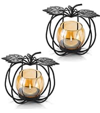 Marbrasse Desktop Glass Planter Hydroponics Vase,Planter Bulb Vase with Holder for Home Decoration,Modern Creative Bird Plant Terrarium Stand, for Plant Terrarium