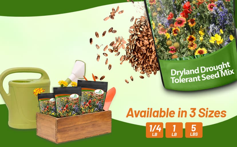 Outsidepride Dryland Wildflower Seed Mix - 1 lb. Colorful Blend of Drought Tolerant, Annual and Perennial Wildflower Seeds for Attracting Pollinators in Arid States & Xeriscapes