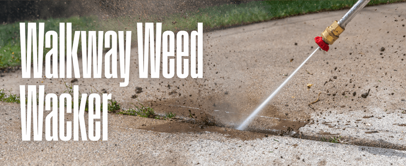 Westinghouse WPX3600 Gas Pressure Washer, 3600 PSI and 2.7 Max GPM, Onboard Soap Tank, Spray Gun and Wand, 5 Nozzle Set, for Cars/Fences/Driveways/Homes/Patios/Furniture