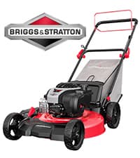 PowerSmart 21 in. Gas Lawn Mower with 125cc Briggs and Stratton E300 Engine, 2-in-1 Push Mower with Mulching & Side-Discharge