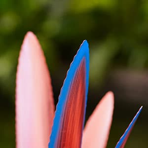 Metal Agave Plant Home Decor, Enlarge Thickened Metal Agave Garden Art for Outdoor Decor, Patio Lawn, Garden Sculpture Statue Green