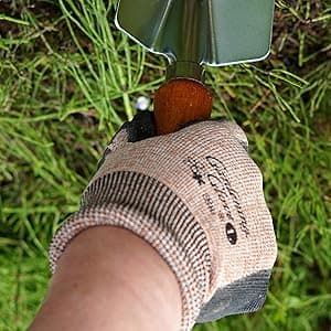 Japanese Garden Trowel Heavy Duty Japanese Steel with Wood Handle, Garden Transplanter Tool for Digging, Scooping, Transplanting, Made in Japan, Large Silver