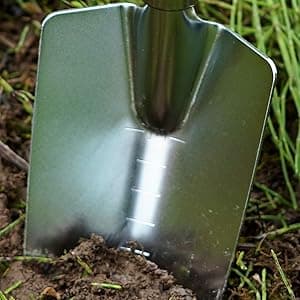 Japanese Garden Trowel Heavy Duty Japanese Steel with Wood Handle, Garden Transplanter Tool for Digging, Scooping, Transplanting, Made in Japan, Large Silver