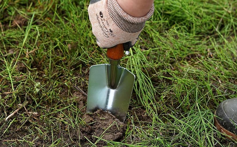 Japanese Garden Trowel Heavy Duty Japanese Steel with Wood Handle, Garden Transplanter Tool for Digging, Scooping, Transplanting, Made in Japan, Large Silver