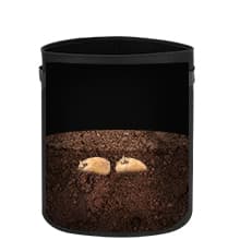 4 Packs 10 Gallon Potato Grow Bags, Heavy Duty Nonwoven Fabric Pots with Handles for Planting Vegetables, Flowers