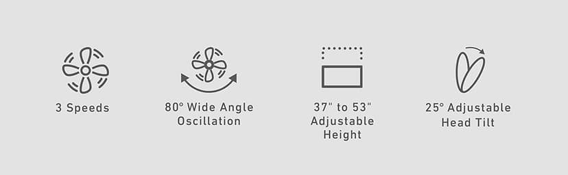 HOLMES 16" Outdoor Misting Stand Fan, Hose Connection, 3 Speeds, 3 Micro-Mist Levels, 80° Oscillation, Adjustable Height, 25° Head Tilt, GFCI Plug, Black