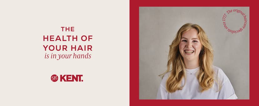 KENT PF01 Large Cushion Detangler Brush, Boar Bristle and Non-Scratch Nylon Mix Hairbrush for Straightening Smoothing. Oval Wood Paddle Detangling Hair Brush for Medium to Long Hair, Made in England