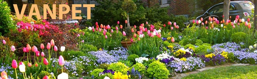 Mist Watering Wand For Hanging Baskets,25 Inch Spray Wand With Adjustable Nozzle, Car Pet Window Cleaning Tool, Great For Watering Seedbeds, Hanging Plants, Deck Plants.(90-degree curved nozzle)