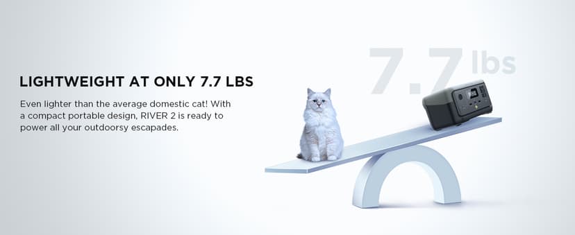 EF ECOFLOW Portable Power Station RIVER 2, 256Wh LiFePO4 Battery/ 1 Hour Fast Charging, 2 Up to 600W AC Outlets, Solar Generator (Solar Panel Optional) for Outdoor Camping/RVs/Home Use