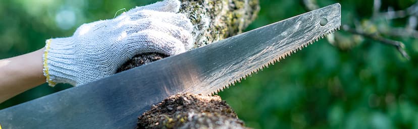 uxcell 24 Inch Pruning Saws, Straight Blade Hand Saw Wood Handle for Camping Garden Wood Tree Branches Trimming