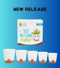 LGL Plant Watering Globes - Automatic Self Watering Globes. Decorative Self Watering Planter Inserts Made From Hand-Blown Durable Glass. Self Watering Spikes to Support Plant Health. 4 Pack, Jumbo.